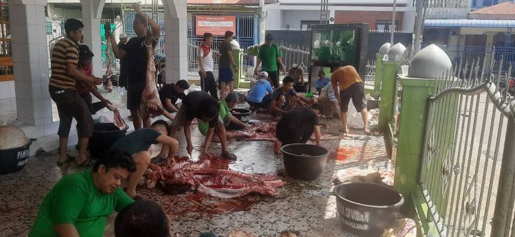 Idul Adha 1444 H, BKM Muslimin Sembelih 16 Hewan Kurban