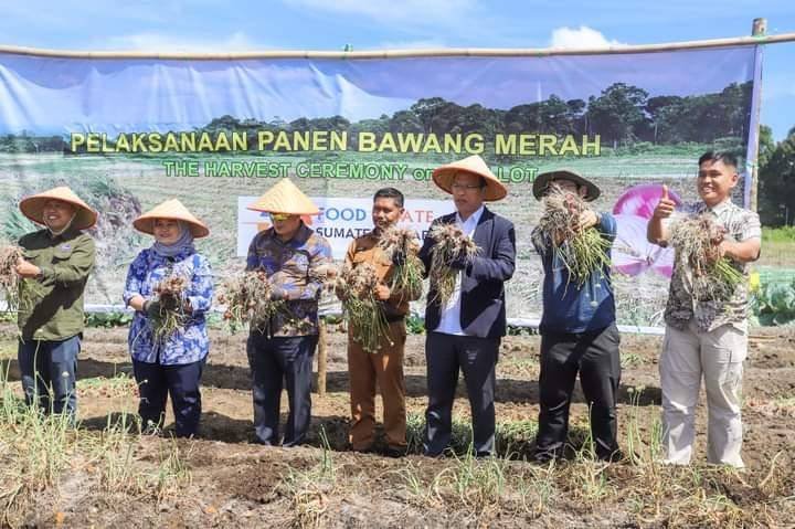 Kemenko Marves Bersama Bupati Humbahas Panen Bawang Merah di Food Estate