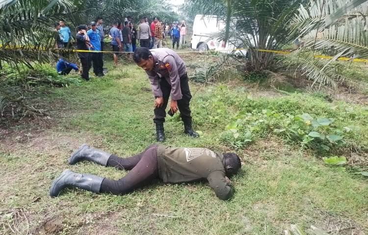 Pengembala Lembu Ditemukan Membusuk di Kebun Sawit PTPN 2 Pagarmerbau