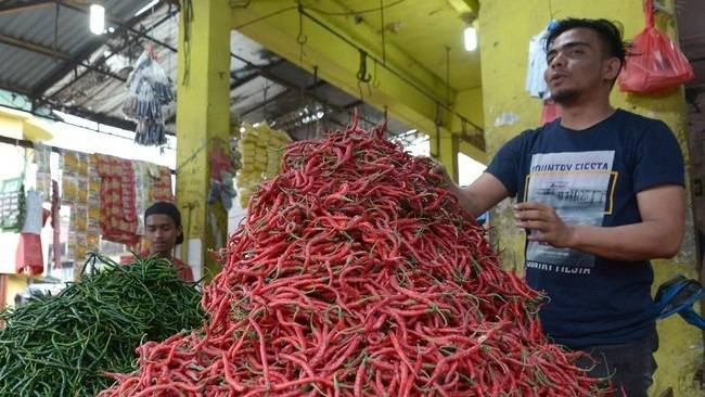 Harga Cabai Merah Melonjak Rp 60 Ribu dan Ayam Ras Rp30 Ribu/Kg