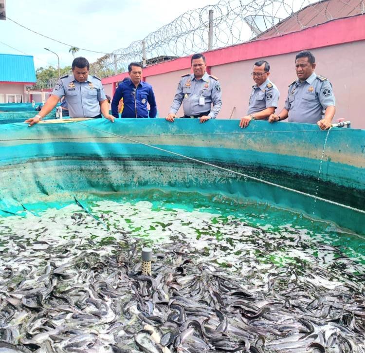 WBP Rutan Kabanjahe Panen Perdana 1 Ton Ikan Lele