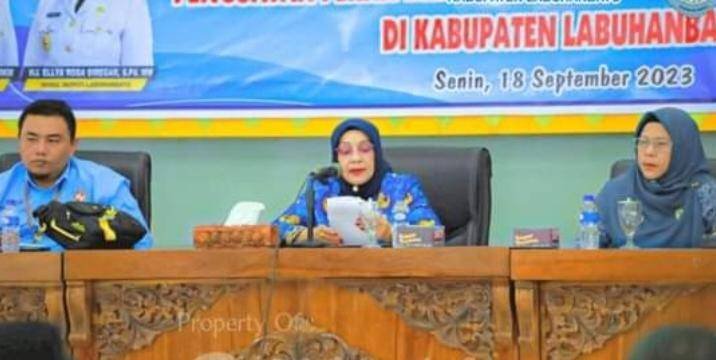 Wabup Labuhanbatu Pimpin Rakor Penguatan Peran Bapak/Ibu Asuh Anak Stunting