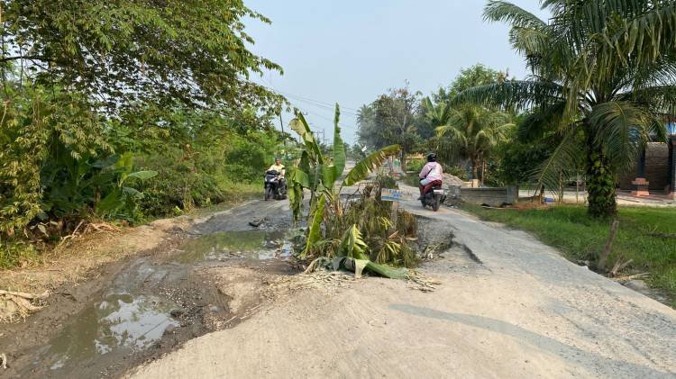 Tak Kunjung Diperbaiki, Warga Tanam Pohon Pisang di Badan Jalan
