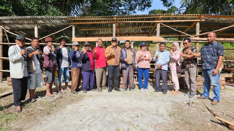 Pemprov Sumut Serahkan 20 Bibit Ternak Sapi dan Kerbau ke Kelompok Tani di Humbahas