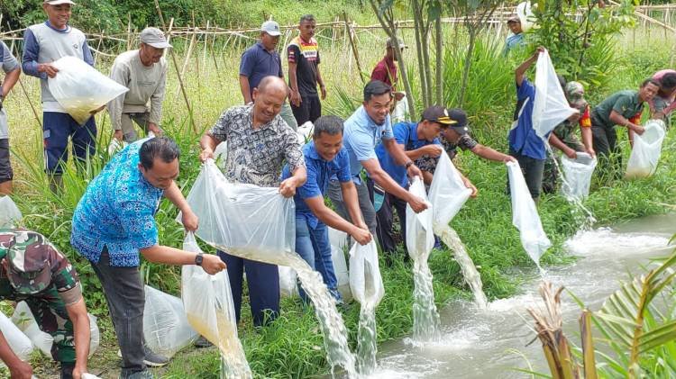 20 Ribu Benih Ikan Ditabur di Lubuk Larangan TMMD 17 Bah Tangan Jaya