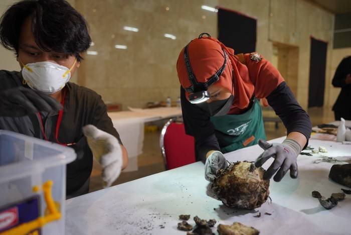 126 Benda Bersejarah dari Kebakaran Museum Nasional Teridentifikasi