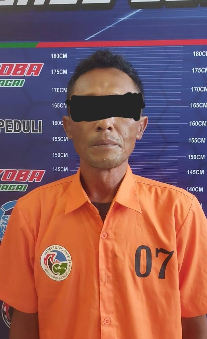 Satnarkoba Polres Sergai Ringkus Terduga Pengedar Ganja di Perbaungan