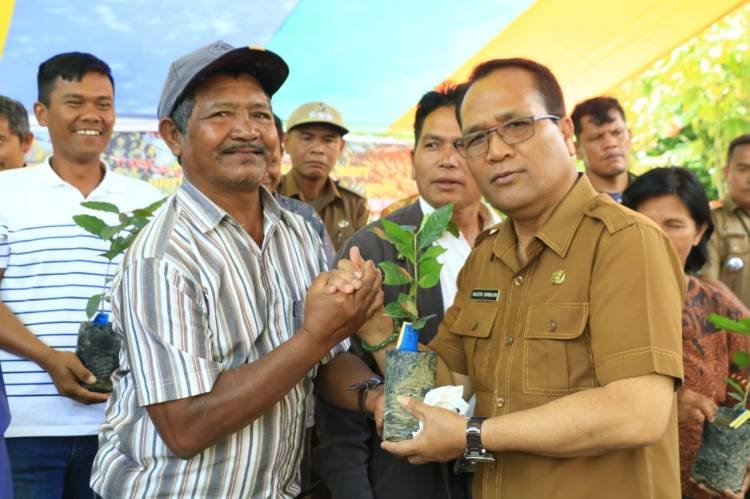 Pemkab Samosir Salurkan Bantuan Bibit Kopi dan Bawang Merah