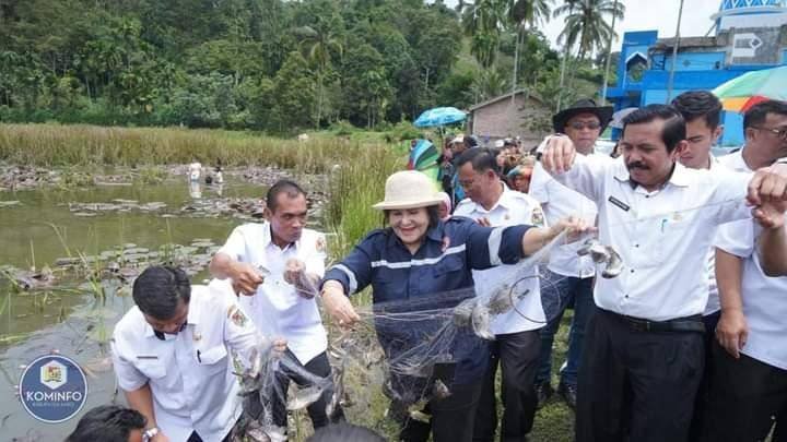 Sambut Kerja Tahun, Bupati Karo Panen Ikan di Desa Susuk
