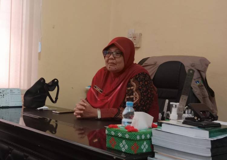 Dukung Reformasi Kesehatan, Dinkes Akan Kembali Aktifkan Pustu
