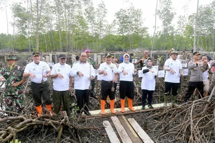 Pulihkan Hutan Mangrove, Pemprov Sumut Tanam 10 Ribu Bibit di Langkat