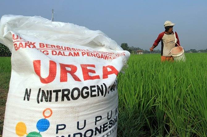 Stok Pupuk Bersubsidi di Sergai Aman Untuk Musim Tanam II