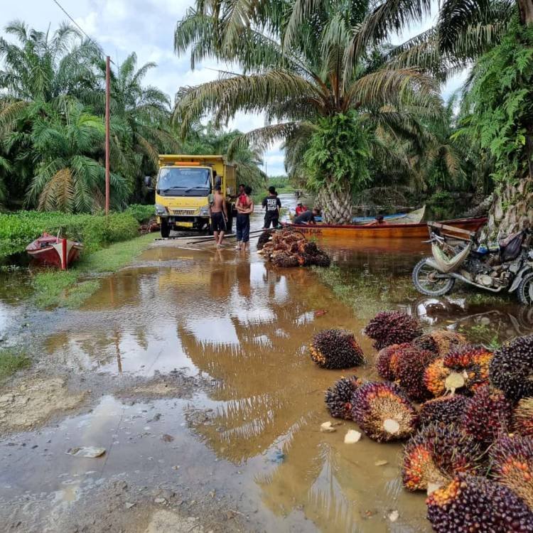 Pemukiman di Bantaran Sungai Barumun di Kotapinang Terendam Banjir