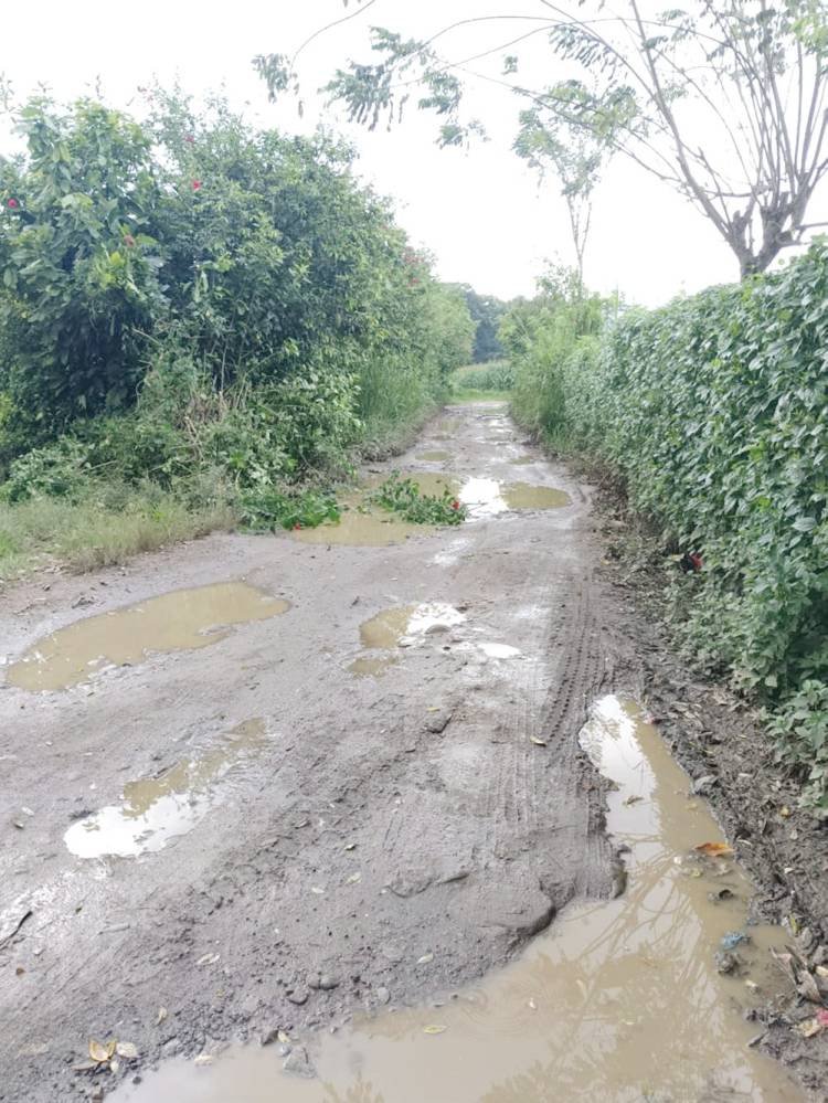 Jalan Lingkar Tigabinanga Karo Bagai Kubangan Kerbau