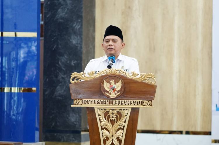 Bupati Labuhanbatu Sosialisasi Peran Kader Posyandu dalam Pencegahan Stunting