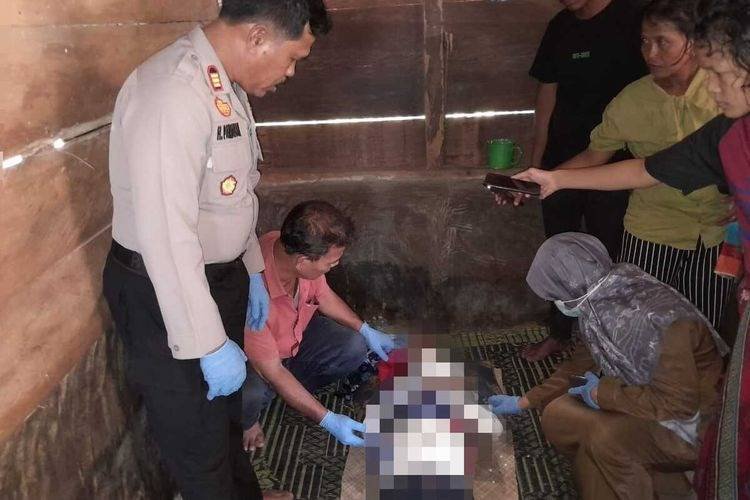 Saat Jaga Durian, Seorang Pria Tewas dan Dua Dirawat Tertimpa Pohon Tumbang di Barus