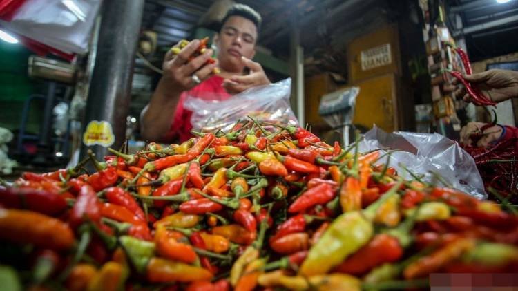 Mendagri Minta Pemda Waspadai Kenaikan Harga Cabai dan Gula Pasir