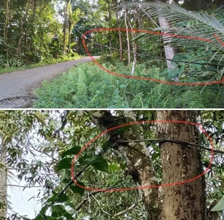 Kabel Kendur dan Menjuntai ke Tanah Ancam Keselamatan Warga di Nias