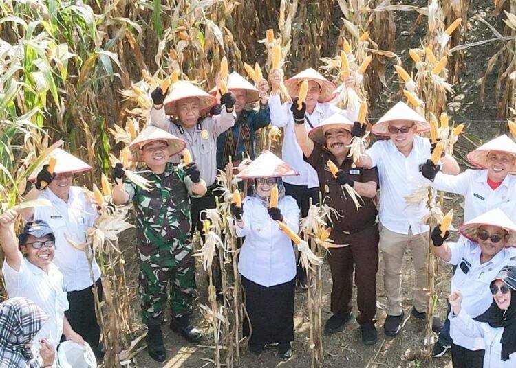 Wali Kota Serahkan Alat Mesin Pertanian kepada Petani di Siantar Martoba