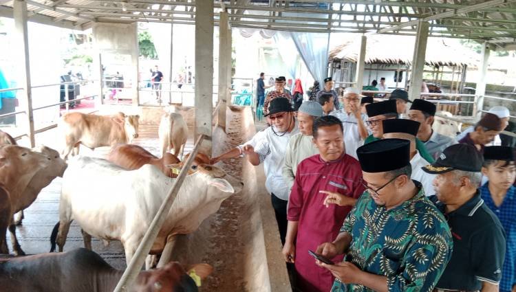 Tim SSABB Sumut dan BKM Apresiasi Perawatan Hewan Kurban di Tabebuya Farmland