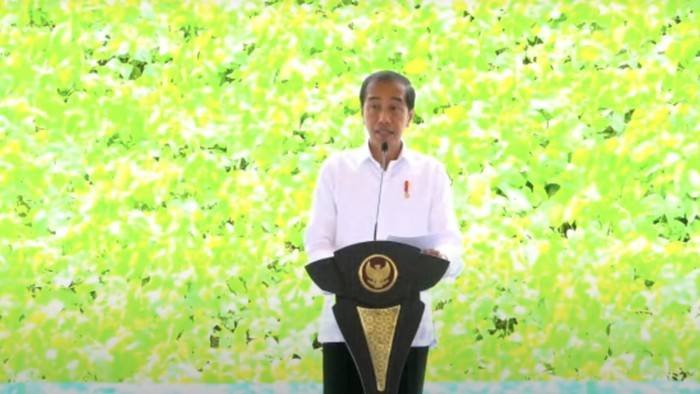 Jokowi Groundbreaking Kantor Otorita IKN, Dilengkapi Layanan Satu Pintu