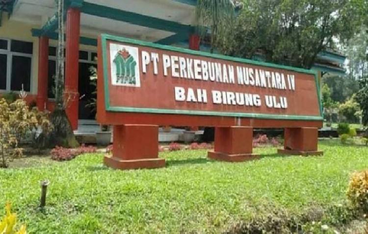 Warga Bahkapuran Simalungun Berharap PTPN IV Beri Bantuan Pipanisasi