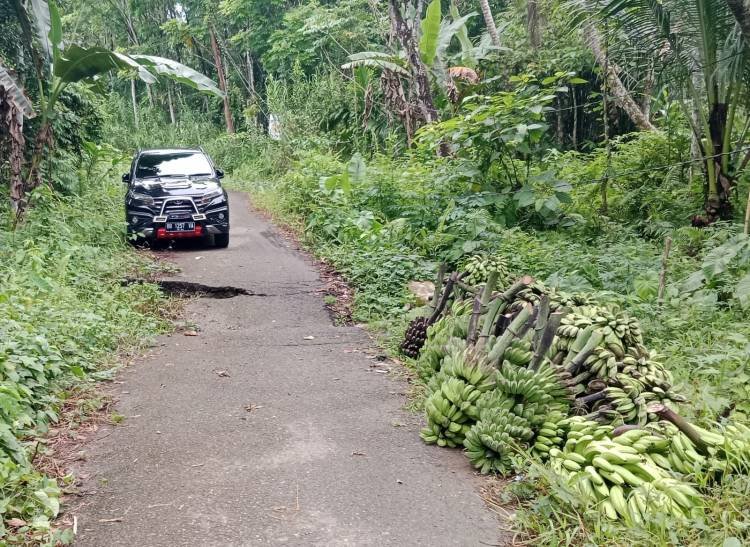 Jalan Penghubung Desa Baruzo-Saitagaramba Nias Amblas