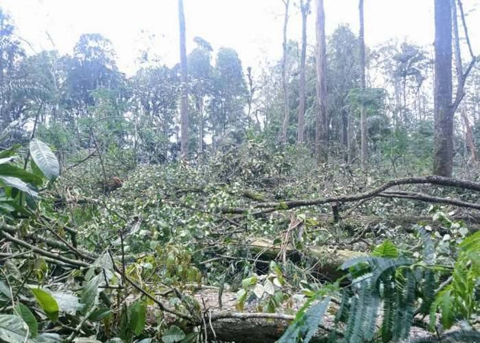 Kasus Perambahan Hutan Arboretum, Polisi Undang 5 Orang Pengurus Desa Merek Tidak Hadir