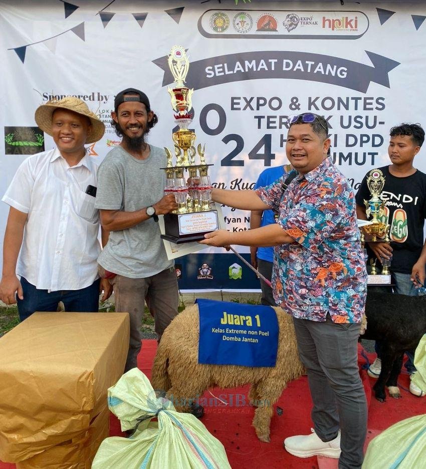 Si 'Tabe' Domba ras Merino dari Tabebuya Farmland Sabet Juara I Kontes Ternak di Fakultas Pertanian USU