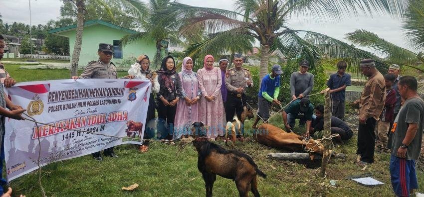 Idul Adha, Polsek Kualuh Hilir Sembelih 4 Ekor Hewan Kurban