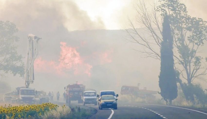 Kebakaran Hutan Hanguskan Desa di Turki, 5 Orang Tewas