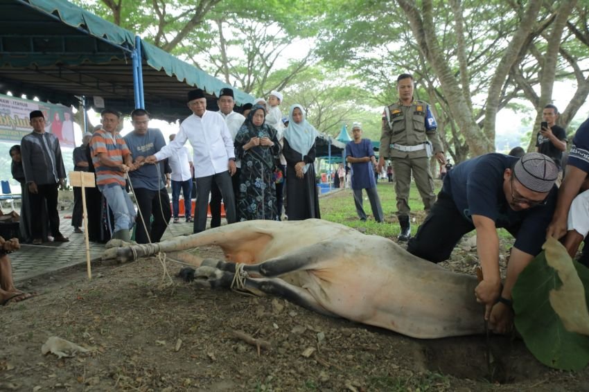 Idul Adha, Pemkab Asahan Sembelih 90 Ekor Sapi dan 23 Ekor Kambing