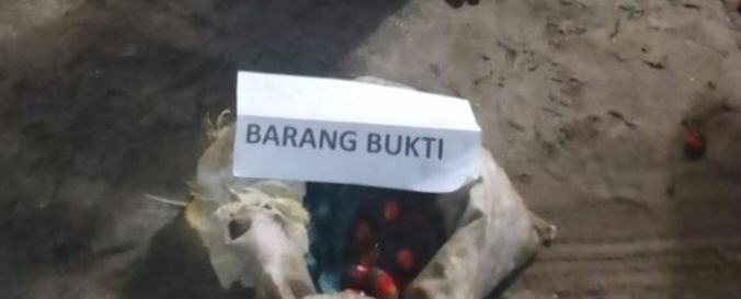 Polsek Bilah Hilir Amankan Pencuri Sawit