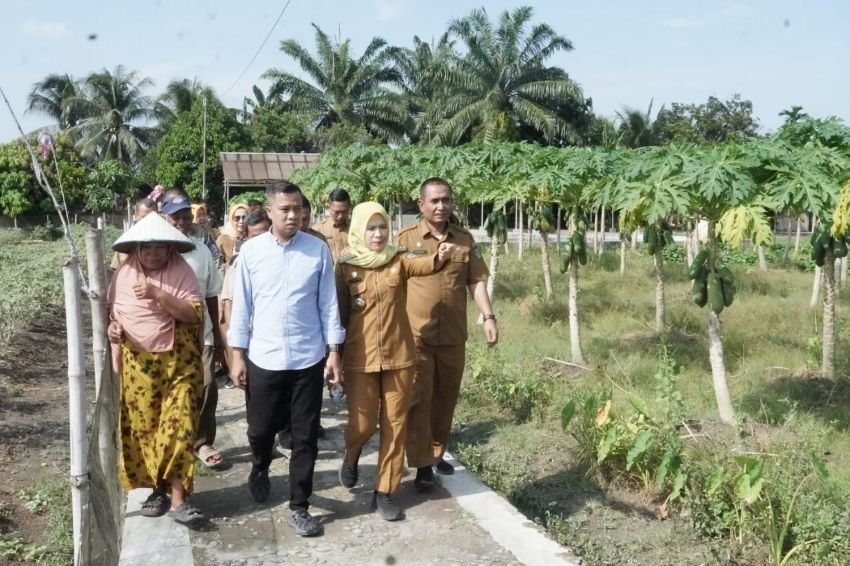 Kunjungi Kampung Wisata Sayur, Pj Wali Kota Tebingtinggi Dengarkan Keluhan Petani