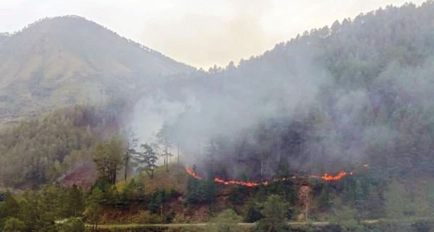 100 Ha Hutan Lindung Danau Toba Dibakar