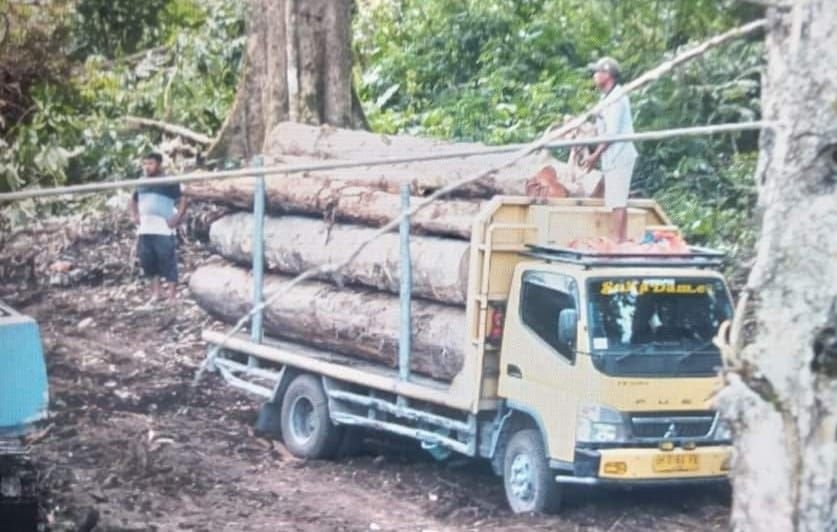 Kawasan Hutan Arboretum di Merek, Karo Kembali Dirambah