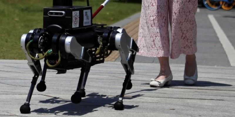 Robot Anjing Pemandu Tunanetra Buatan China Mulai Diuji Coba