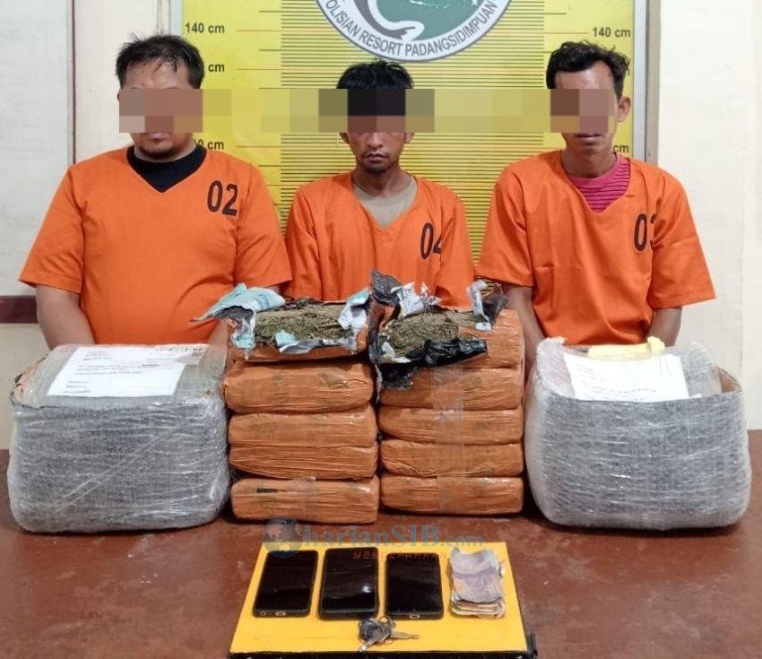 Polres Padangsidimpuan Gagalkan Pengiriman 10 Kg Ganja Kering ke Bekasi, 3 Orang Diamankan