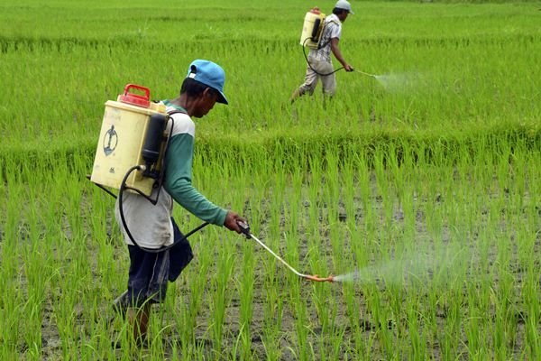 Nilai Tukar Petani di Sumut Naik 0,76%