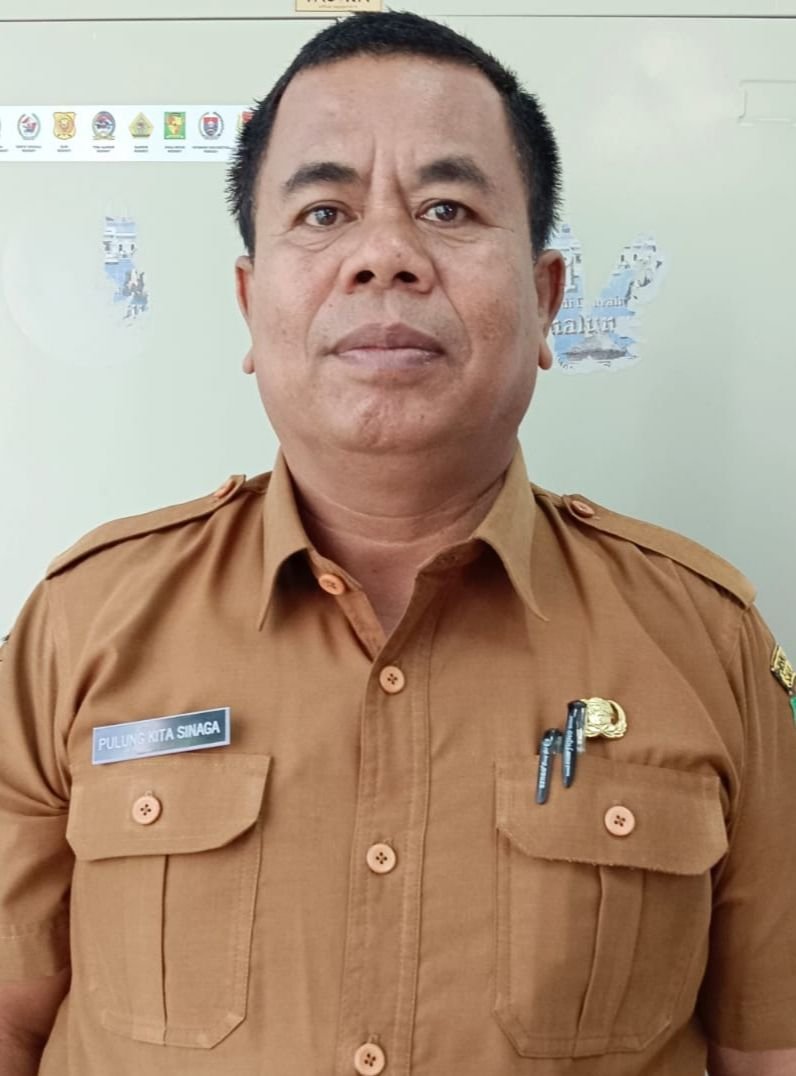 Pemkab Simalungun Buka Pendaftaran CPNS 2024, Butuh 620 Tenaga Kesehatan dan Teknis