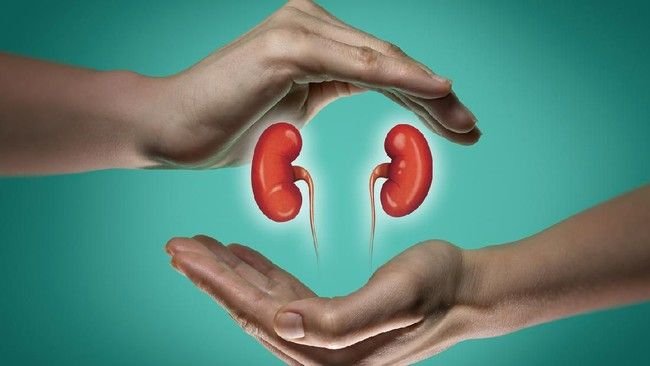 Gagal Ginjal dan Dampaknya Terhadap Sistem Kekebalan Tubuh