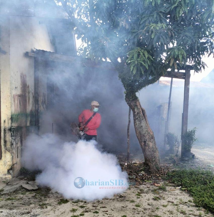 Cegah Penyebaran DBD, Pemerintah Nagori Bah Butong I dan Dinkes Kesehatan Lakukan Fogging