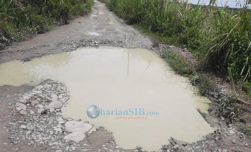 Jalan Berlubang dan Tergenang Air di Desa Pematang Cermai Ancam Keselamatan Pengendara