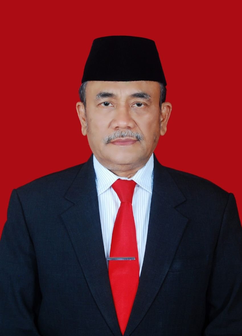 Godfried Lubis: Usut Robohnya Jembatan Taman Cadika