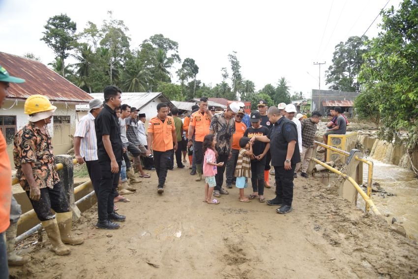 Dolly Pasaribu Tinjau Wilayah Yang Terdampak Banjir Bandang di Tapsel