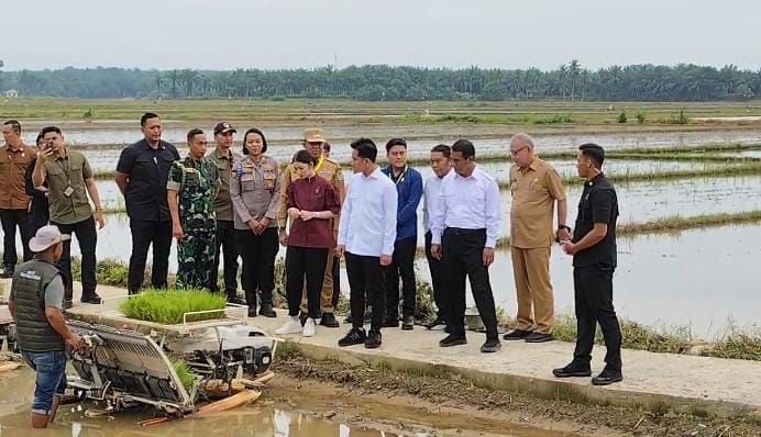 Kunjungi Penanaman Padi di Langkat, Gibran Ingatkan Arahan Presiden soal Swasembada Pangan