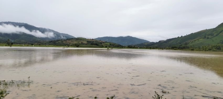 Ratusan Ha Areal Pertanian di Karo Terendam Banjir