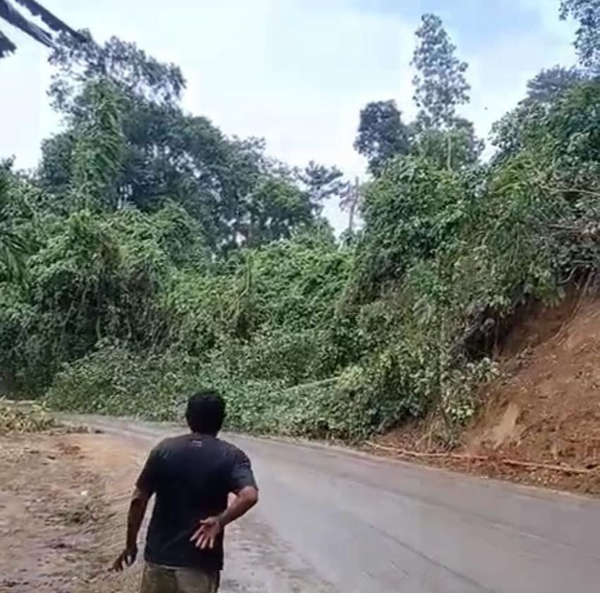 Camat: Pemangkasan Pohon di Sibolangit, Tidak Ada Longsor