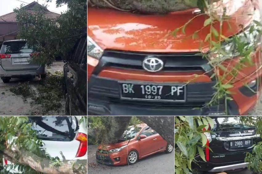 Pohon Tumbang Timpa Sejumlah Mobil di Jalan Abdullah Lubis Medan