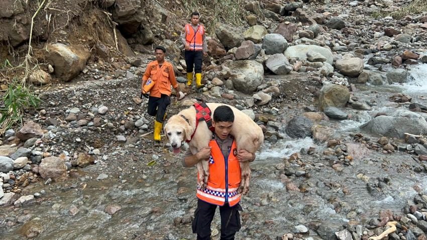 K9 Polda Sumut Berhasil Temukan Dua Korban Longsor di Desa Martelu